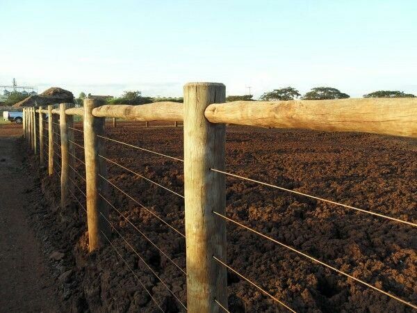 Imagem de compartilhamento para o artigo Servidores do Incra são condeandos por fraudes, exclusão de beneficiários e cobrança de propina de fazendeiros em MS da MS Todo dia